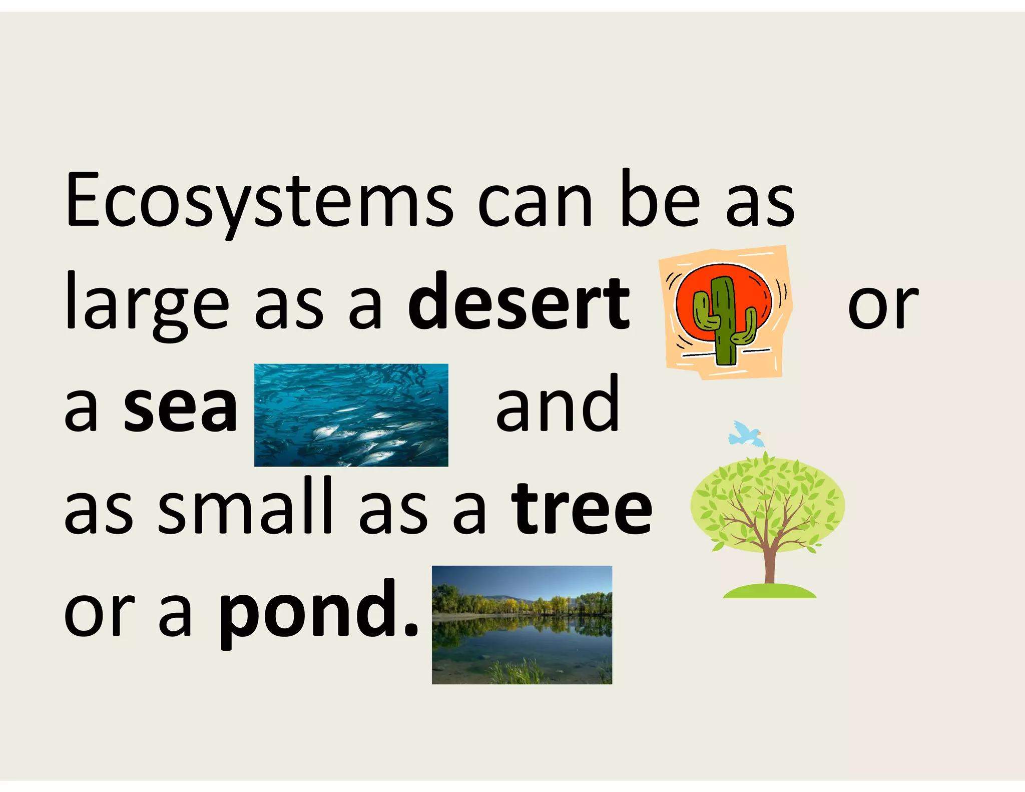 Ecosystems can be as
large as a desert or
a sea and
as small as a tree
or a pond.
 