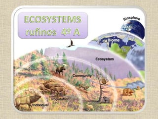 Ecosystems 4º a