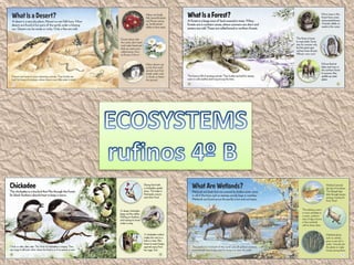 Ecosystems 4º b