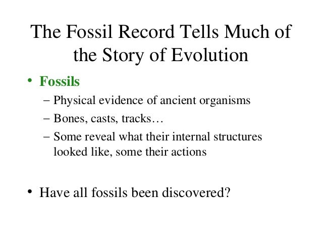 What Conditions Are Needed For Natural Selection To Occur What Conditions Are Needed For Natural Selection To Occur