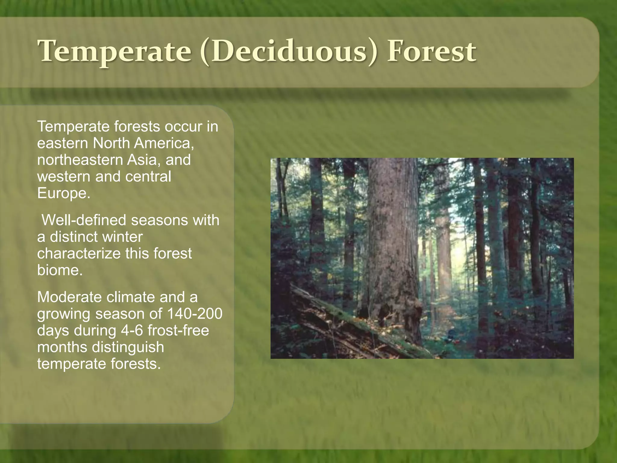 Temperate (Deciduous) Forest 
Temperate forests occur in 
eastern North America, 
northeastern Asia, and 
western and central 
Europe. 
Well-defined seasons with 
a distinct winter 
characterize this forest 
biome. 
Moderate climate and a 
growing season of 140-200 
days during 4-6 frost-free 
months distinguish 
temperate forests. 
 