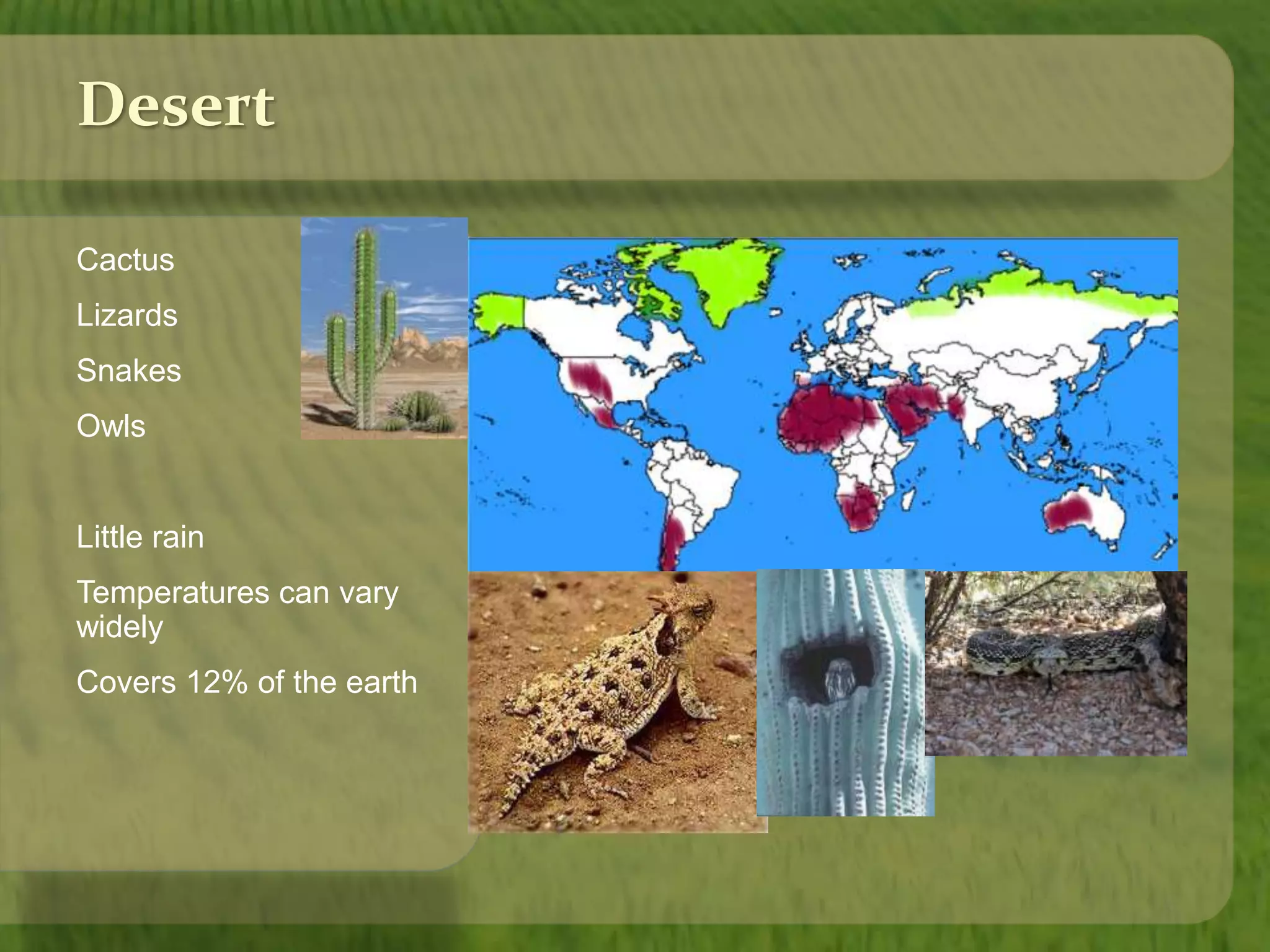 Desert 
Cactus 
Lizards 
Snakes 
Owls 
Little rain 
Temperatures can vary 
widely 
Covers 12% of the earth 
 