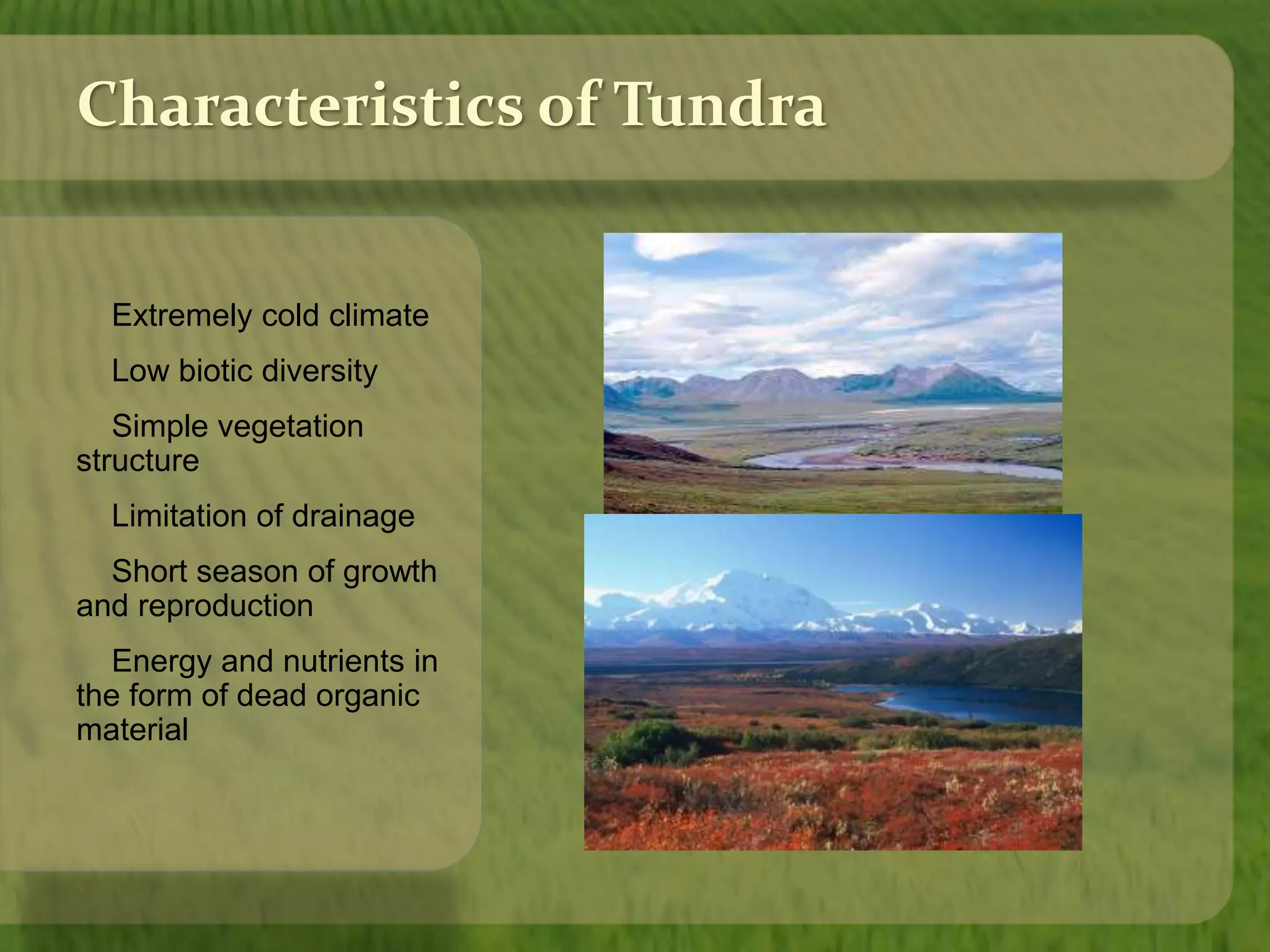 Characteristics of Tundra 
Extremely cold climate 
Low biotic diversity 
Simple vegetation 
structure 
Limitation of drainage 
Short season of growth 
and reproduction 
Energy and nutrients in 
the form of dead organic 
material 
 