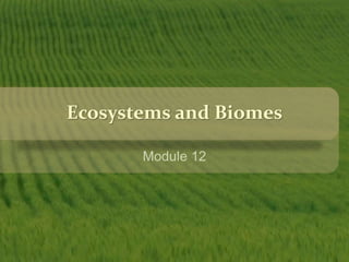 Ecosystems and Biomes 
Module 12 
 