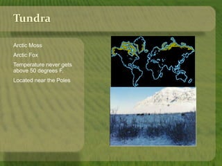 Tundra 
Arctic Moss 
Arctic Fox 
Temperature never gets 
above 50 degrees F. 
Located near the Poles 
 