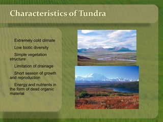 Characteristics of Tundra 
Extremely cold climate 
Low biotic diversity 
Simple vegetation 
structure 
Limitation of drainage 
Short season of growth 
and reproduction 
Energy and nutrients in 
the form of dead organic 
material 
 