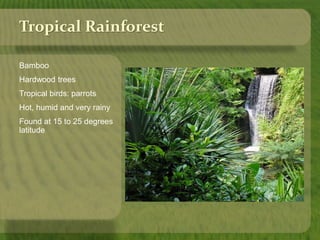 Tropical Rainforest 
Bamboo 
Hardwood trees 
Tropical birds: parrots 
Hot, humid and very rainy 
Found at 15 to 25 degrees 
latitude 
 