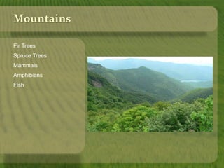 Mountains 
Fir Trees 
Spruce Trees 
Mammals 
Amphibians 
Fish 
 