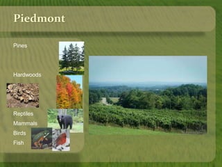 Piedmont 
Pines 
Hardwoods 
Reptiles 
Mammals 
Birds 
Fish 
 