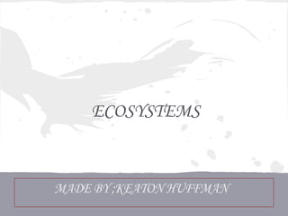 ECOSYSTEMS


MADE BY ;KEATON HUFFMAN
 