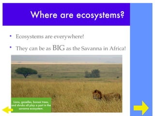 Where are ecosystems?

• Ecosystems are everywhere!

• They can be as BIG as the Savanna in Africa!




 Lions, gazelles, bonsai trees,
and shrubs all play a part in the
     savanna ecosystem.
 