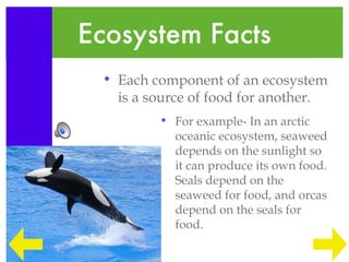 Ecosystem Facts
 • Each component of an ecosystem
   is a source of food for another.
         • For example- In an arctic
           oceanic ecosystem, seaweed
           depends on the sunlight so
           it can produce its own food.
           Seals depend on the
           seaweed for food, and orcas
           depend on the seals for
           food.
 