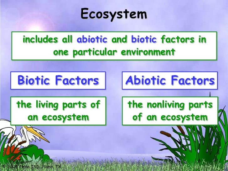 Resultado de imagen para biotic and abiotic factors in an ecosystem