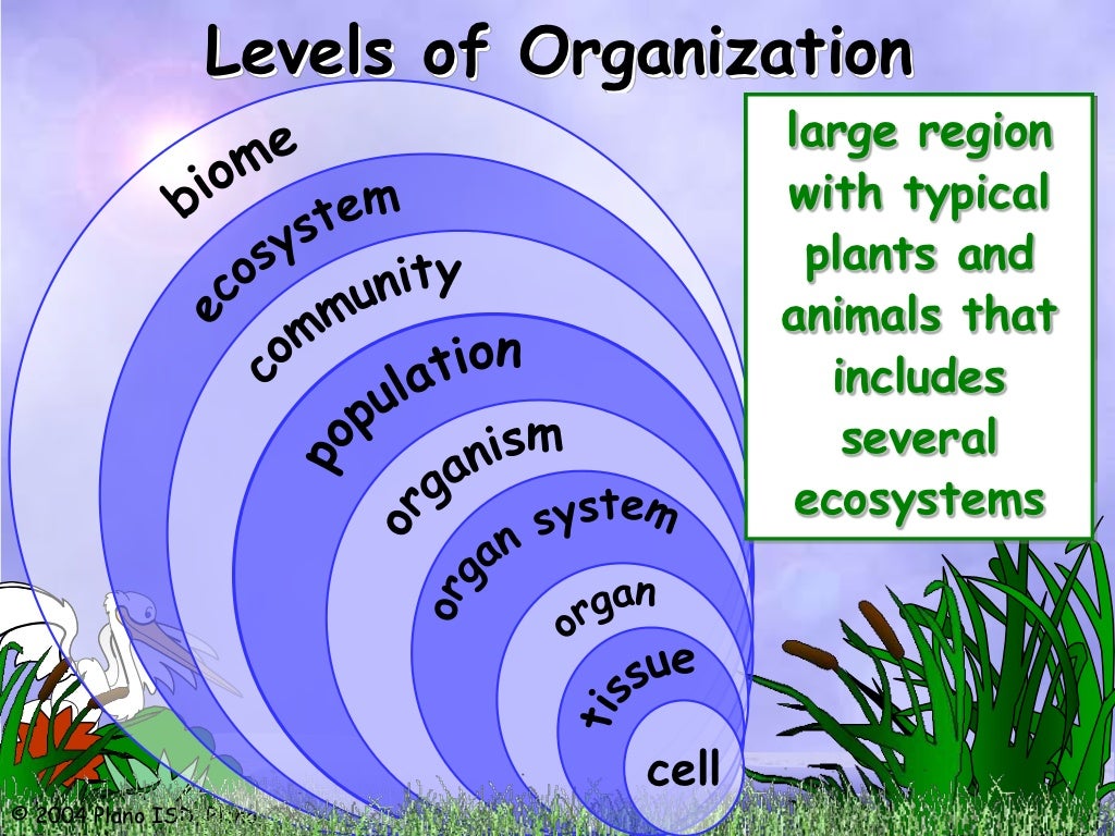 Ecosystems, biotic and abiotic factors