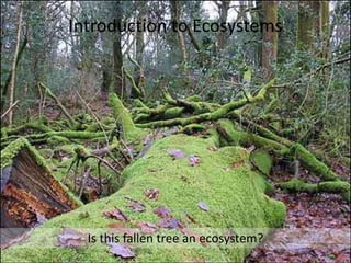 Introduction to Ecosystems




  Is this fallen tree an ecosystem?
                                      11
 