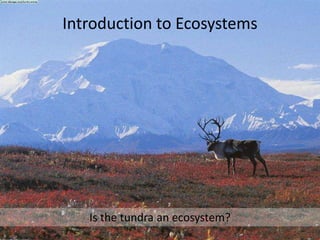Introduction to Ecosystems




   Is the tundra an ecosystem?
                                 8
 