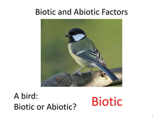 Biotic and Abiotic Factors




A bird:
Biotic or Abiotic?   Biotic
                                   1
 