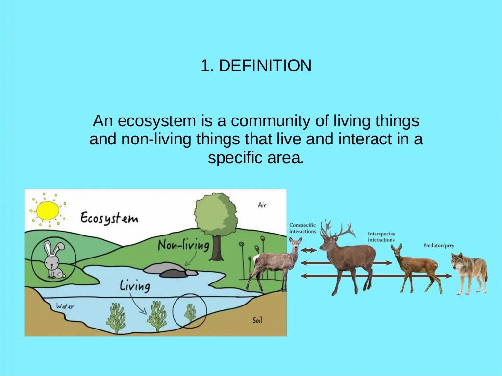 Ecosystems definitions