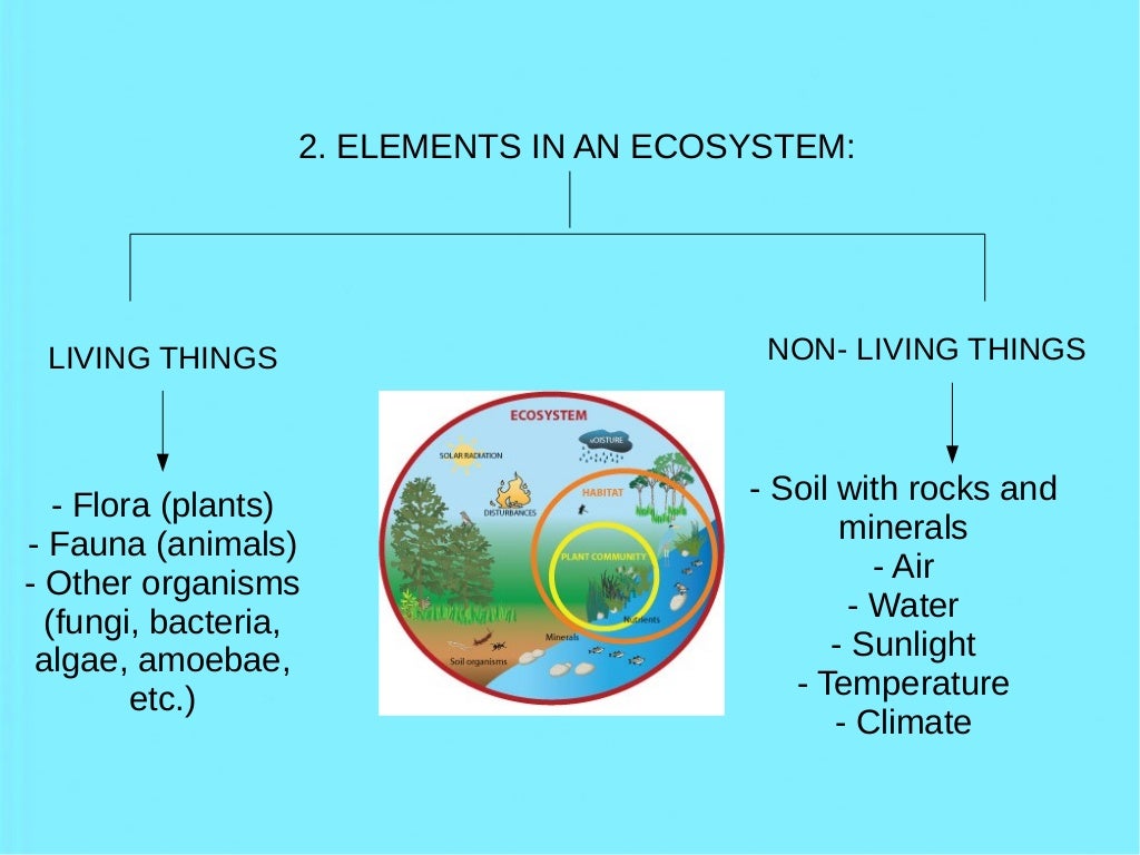 Ecosystems definitions