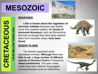 MESOZOICCRETACEOUS
145-65MILLIONYEARSAGO
MOUNTAINS
Little is known about the vegetation of
mountain habitats because most fossils
come from lowland regions. But bones of
armoured dinosaurs, such as Edmontonia,
that look as though they have been washed
down from mountain areas, have been
found.
DESERT PLAINS
The deserts supported some
specialized animals. Although there was
little to eat, a large number of different
species of dinosaur lived in Cretaceous
desert sandstones. The open vistas
would have been ideal for long-legged
running dinosaurs such as Gallimimus.
 