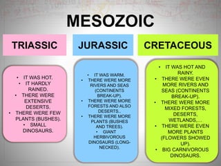 MESOZOIC
TRIASSIC JURASSIC CRETACEOUS
• IT WAS HOT.
• IT HARDLY
RAINED.
• THERE WERE
EXTENSIVE
DESERTS.
• THERE WERE FEW
PLANTS (BUSHES).
• SMALL
DINOSAURS.
• IT WAS WARM.
• THERE WERE MORE
RIVERS AND SEAS
(CONTINENTS
BREAK-UP).
• THERE WERE MORE
FORESTS AND ALSO
DESERTS..
• THERE WERE MORE
PLANTS (BUSHES
AND TREES).
• GIANT
HERBIVOROUS
DINOSAURS (LONG-
NECKED).
• IT WAS HOT AND
RAINY.
• THERE WERE EVEN
MORE RIVERS AND
SEAS (CONTINENTS
BREAK-UP).
• THERE WERE MORE
MIXED FORESTS,
DESERTS,
WETLANDS,…
• THERE WERE EVEN
MORE PLANTS
(FLOWERS SHOWED
UP).
• BIG CARNIVOROUS
DINOSAURS.
 
