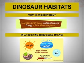 DINOSAUR HABITATS
WHAT IS AN ECOSYSTEM?
WHAT DO LIVING-THINGS NEED TO LIVE?
 