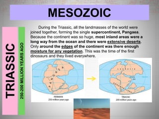 MESOZOICTRIASSIC
250-200MILLIONYEARSAGO
During the Triassic, all the landmasses of the world were
joined together, forming the single supercontinent, Pangaea.
Because the continent was so huge, most inland areas were a
long way from the ocean and there were extensive deserts.
Only around the edges of the continent was there enough
moisture for any vegetation. This was the time of the first
dinosaurs and they lived everywhere.
 
