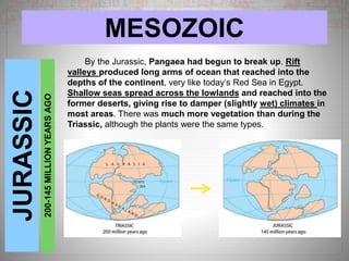 MESOZOICJURASSIC
200-145MILLIONYEARSAGO
By the Jurassic, Pangaea had begun to break up. Rift
valleys produced long arms of ocean that reached into the
depths of the continent, very like today’s Red Sea in Egypt.
Shallow seas spread across the lowlands and reached into the
former deserts, giving rise to damper (slightly wet) climates in
most areas. There was much more vegetation than during the
Triassic, although the plants were the same types.
 