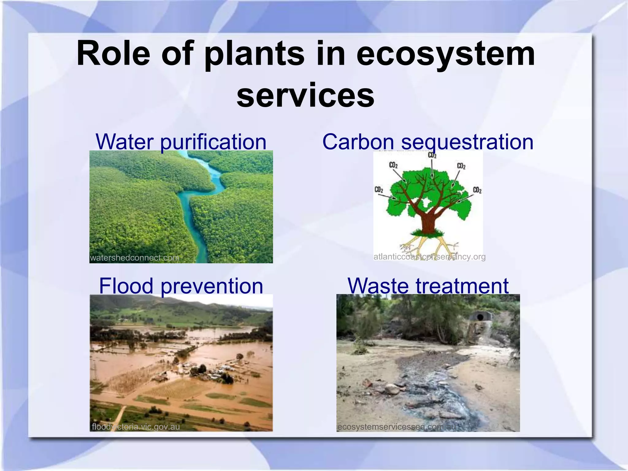 Role of plants in ecosystem 
services 
Water purification Carbon sequestration 
watershedconnect.com atlanticcoastconservancy.org 
Flood prevention Waste treatment 
floodvictoria.vic.gov.au ecosystemservicesseq.com.au 
 