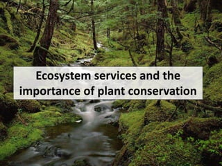 Ecosystem services and the 
importance of plant conservation 
static.wix.com 
 