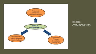 BIOTIC
COMPONENTS
 