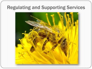 Ecosystem Services | PPTX