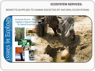 ECOSYSTEM SERVICES: BENEFITS SUPPLIED TO HUMAN SOCIETIES BY NATURAL ECOSYSTEMS 