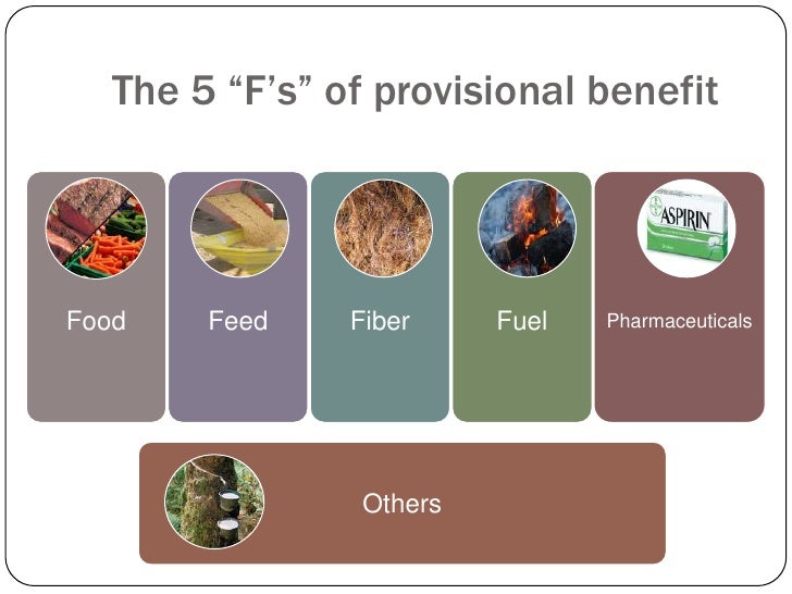 Ecosystem Services Benefits Supplied To Human Societies By Natural Ecosystems Ecosystem Services Benefits Supplied To Human Societies By Natural Ecosystems