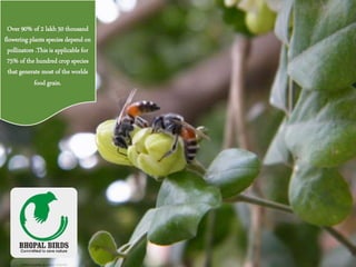 Over 90% of 2 lakh 50 thousand
flowering plants species depend on
pollinators .This is applicable for
75% of the hundred crop species
that generate most of the worlds
food grain.
 