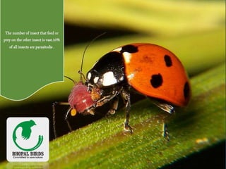 The number of insect that feed or
prey on the other insect is vast.10%
of all insects are parasitodis .
 