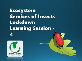 Ecosystem
Services of Insects
Lockdown
Learning Session -
4
 