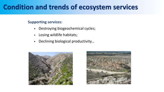 Supporting services:
 Destroying biogeochemical cycles;
 Losing wildlife habitats;
 Declining biological productivity…
Condition and trends of ecosystem services
 