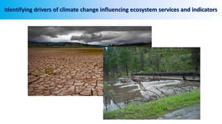 Identifying drivers of climate change influencing ecosystem services and indicators
 