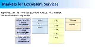 Markets for Ecosystem Services
Ingredients are the same, but quantity is various. Also, markets
can be voluntary or regulatory.
Defined Ecosystem
Service
Carbon Market
Buyer Seller
Voluntary
Defined Ecosystem
Service
Biodiversity Mkt
Defined Ecosystem
Service
Watershed Mkt
Seller
Seller
Seller
Seller
Buyer
Buyer
Regulatory
 