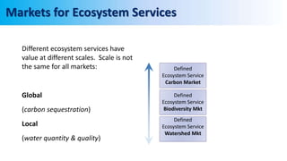 Different ecosystem services have
value at different scales. Scale is not
the same for all markets:
Global
(carbon sequestration)
Local
(water quantity & quality)
Markets for Ecosystem Services
Defined
Ecosystem Service
Carbon Market
Defined
Ecosystem Service
Biodiversity Mkt
Defined
Ecosystem Service
Watershed Mkt
 