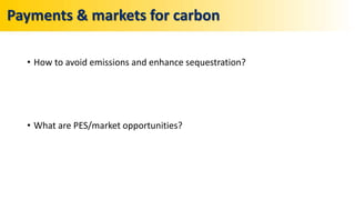• How to avoid emissions and enhance sequestration?
• What are PES/market opportunities?
Payments & markets for carbon
 
