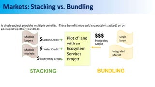 Markets: Stacking vs. Bundling
A single project provides multiple benefits. These benefits may sold separately (stacked) or be
packaged together (bundled):
Plot of land
with an
Ecosystem
Services
Project
STACKING BUNDLING
Multiple
buyers
Multiple
markets
Single
buyer
Integrated
Market
$Carbon Credit
$ Water Credit
$Biodiversity Credit
$$$
Integrated
Credit
 