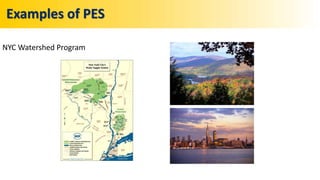 Examples of PES
NYC Watershed Program
 