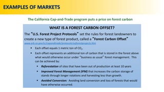 WHAT IS A FOREST CARBON OFFSET?
The “U.S. Forest Project Protocols” set the rules for forest landowners to
create a new type of forest product, called a “Forest Carbon Offset”
www.arb.ca.gov/cc/capandtrade/protocols/usforestprojects.htm
 Each offset equals 1 metric ton of CO2.
 Each offset represents an additional ton of carbon that is stored in the forest above
what would otherwise occur under “business as usual” forest management. This
can be achieved by:
 Reforestation of sites that have been out of production at least 10 years
 Improved Forest Management (IFM) that increases the carbon storage of
stands through longer rotations and harvesting less than growth.
 Avoided Conversion: Avoiding land conversion and loss of forests that would
have otherwise occurred.
EXAMPLES OF MARKETS
The California Cap-and-Trade program puts a price on forest carbon
 