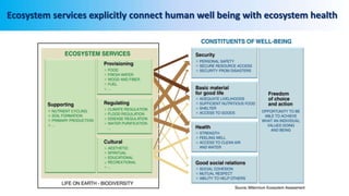 Ecosystem services explicitly connect human well being with ecosystem health
 