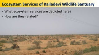Ecosystem Services of Kailadevi Wildlife Santuary
• What ecosystem services are depicted here?
• How are they related?
 