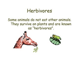 Herbivores Some animals do not eat other animals. They survive on plants and are known as “herbivores”. 