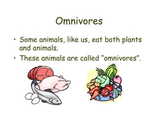 Omnivores Some animals, like us, eat both plants and animals.  These animals are called “omnivores”. 
