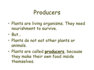 Producers Plants are living organisms. They need nourishment to survive. But… Plants do not eat other plants or animals. Plants are called  producers , because they make their own food inside themselves. 